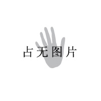 三友显微镊14cm 直 