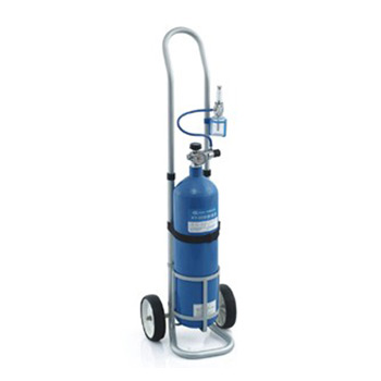 鱼跃供氧器XY-98BI型（附小推车）6.3L 