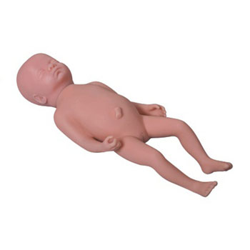  高级足月胎儿模型KAR/Y1