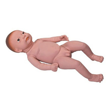  高级出生婴儿模型 KAR/Y4