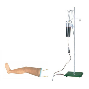  高级静脉输液腿模型 KAR/S16