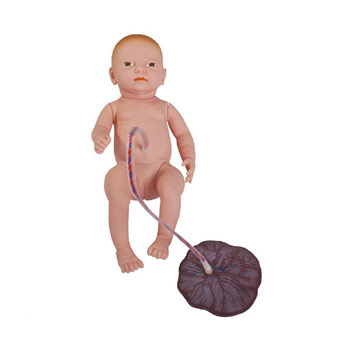  高级新生儿脐带胎盘护理模型KAR/132