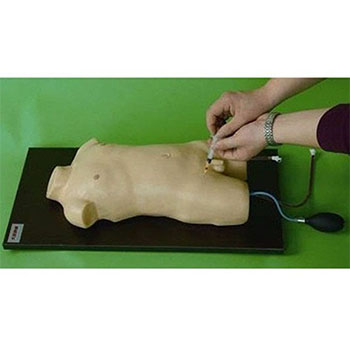  儿童股静脉与股动脉穿刺训练模型 KR/H3218