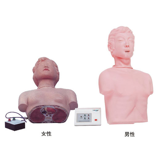  半身心肺复苏训练模拟人 KAS-CPR170