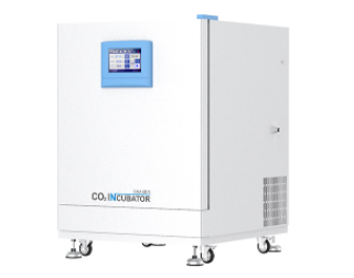 一恒二氧化碳低温培养箱BPN-100CS 