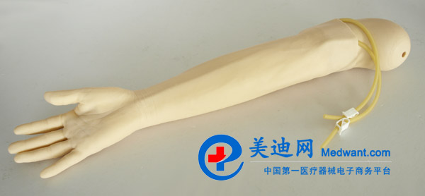 益联 高级静脉穿刺及肌肉注射手臂模型  KAS-S2