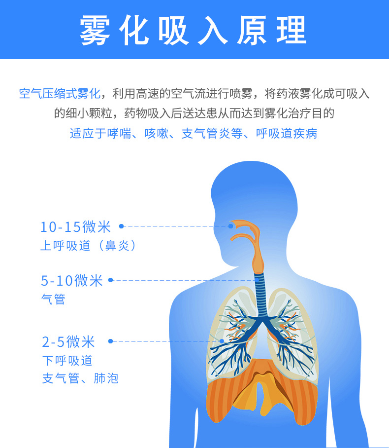 PARI 德国百瑞雾化器Compact N-P