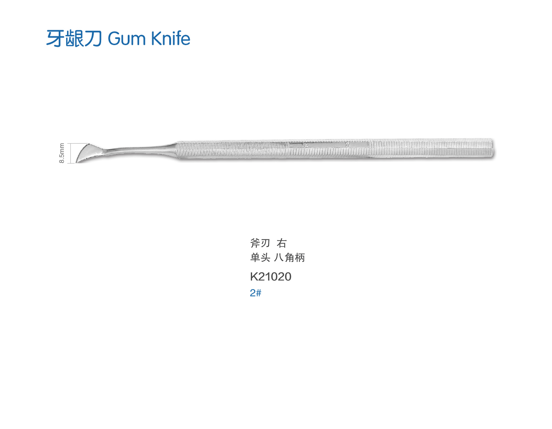 金钟 牙龈刀 K21020 2# 斧刃右